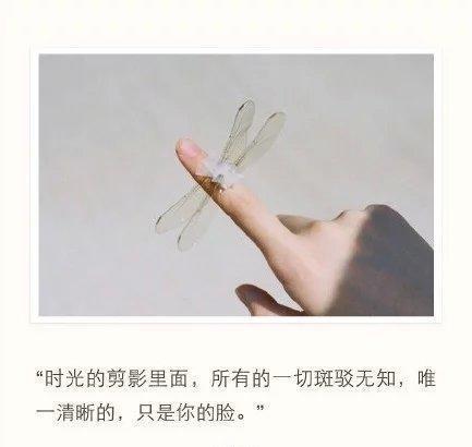喜欢是运筹帷幄，爱是束手就擒.