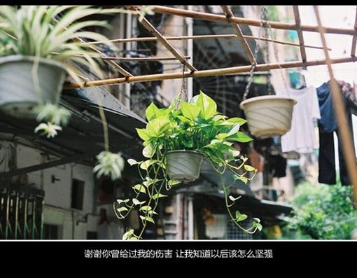 我总是一个人在练习一个人。