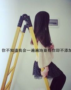 就当自己是个哑巴多懂都不说话