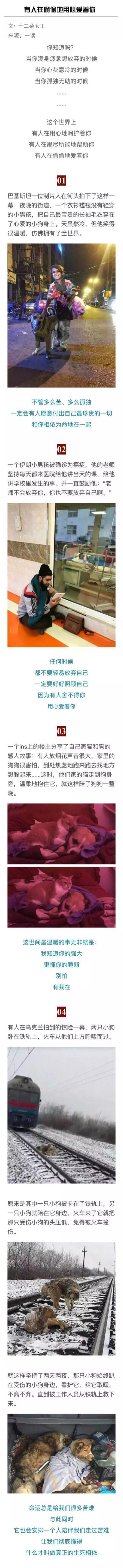 会有人在偷偷爱你