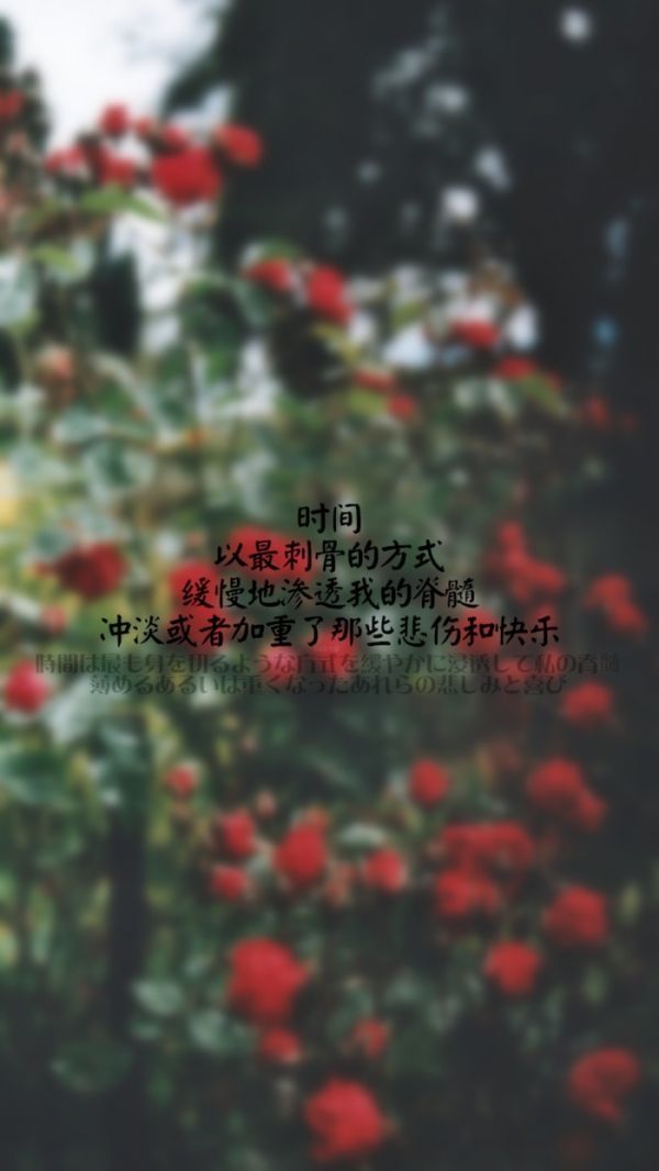 唯美图片，文字图片,情侣图片qqqqp