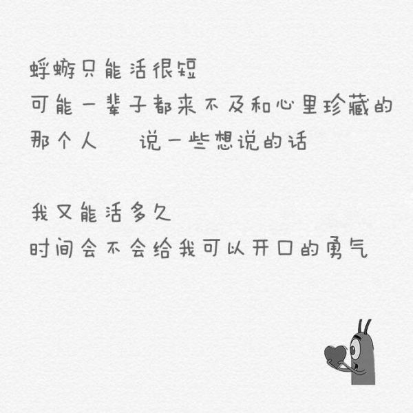 唯美图片，文字图片,情侣图片qqqqp