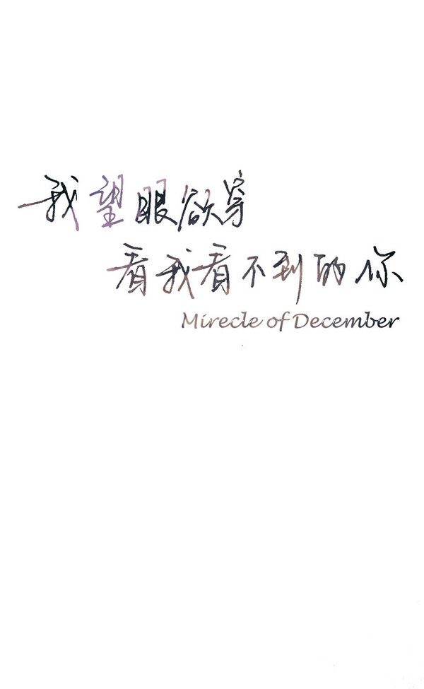 我给不了你全世界，但是我的世界全部给了你