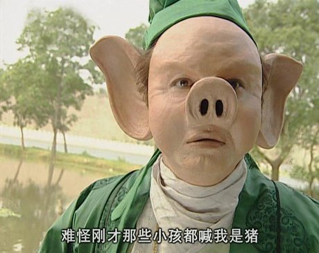 为什么我胖成猪