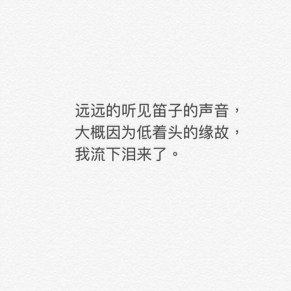 唯美图片，文字图片,情侣图片qqqqp