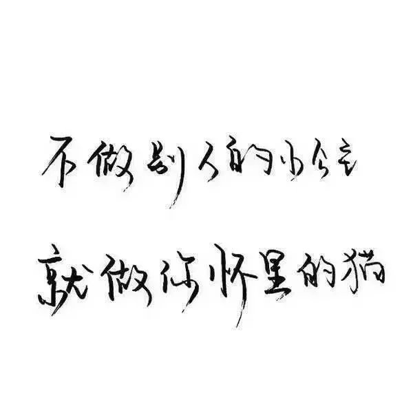唯美图片，文字图片,情侣图片qqqqp
