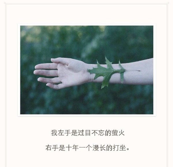 唯美图片，文字图片,情侣图片qqqqp