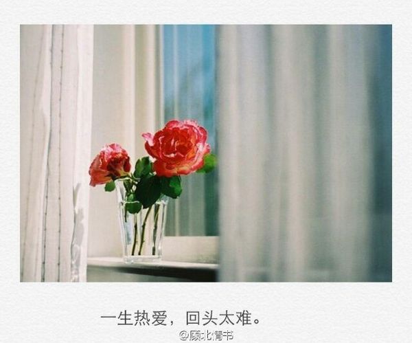 唯美图片，文字图片,情侣图片qqqqp