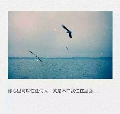 唯美图片，文字图片,情侣图片qqqqp