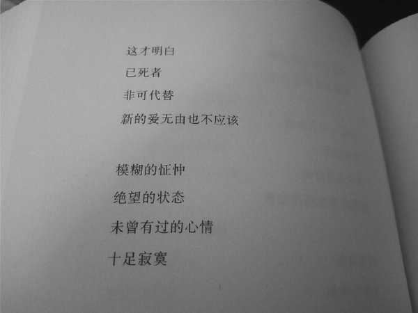 一路受伤，也一同成长