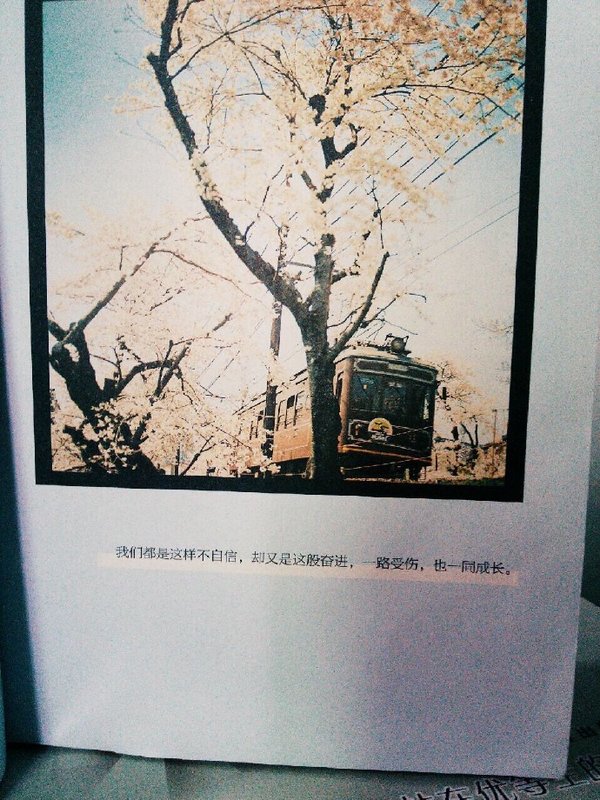 唯美图片，文字图片,情侣图片qqqqp