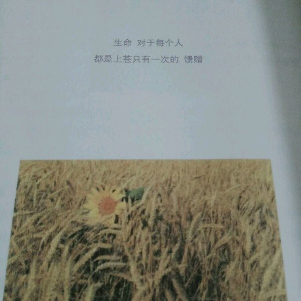请把每一个久别的重逢，都当做初识的相遇