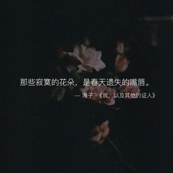 唯美图片，文字图片,情侣图片qqqqp