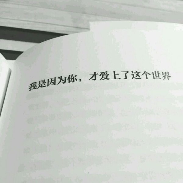 说说你最爱的一句话是什么。