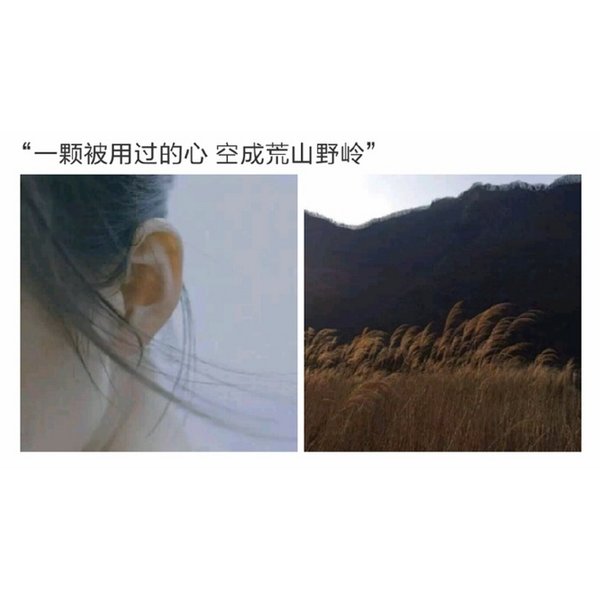 唯美图片，文字图片,情侣图片qqqqp