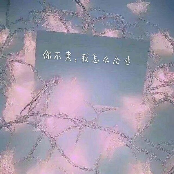 唯美图片，文字图片,情侣图片qqqqp