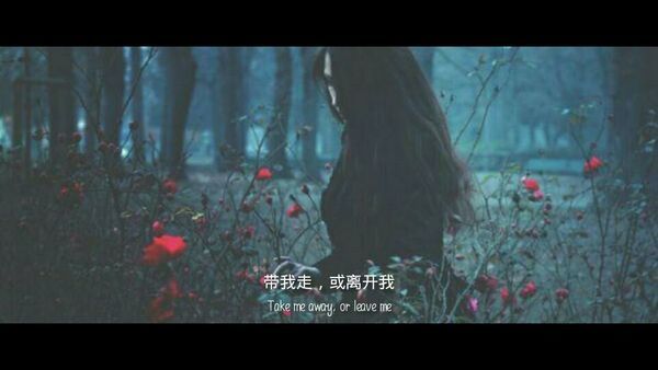 唯美图片，文字图片,情侣图片qqqqp