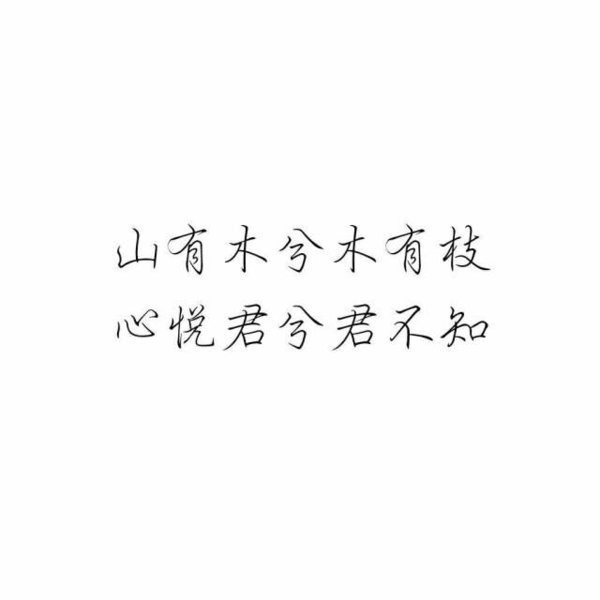 唯美图片，文字图片,情侣图片qqqqp