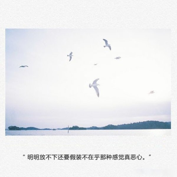 唯美图片，文字图片,情侣图片qqqqp