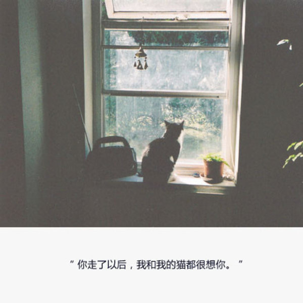 唯美图片，文字图片,情侣图片qqqqp