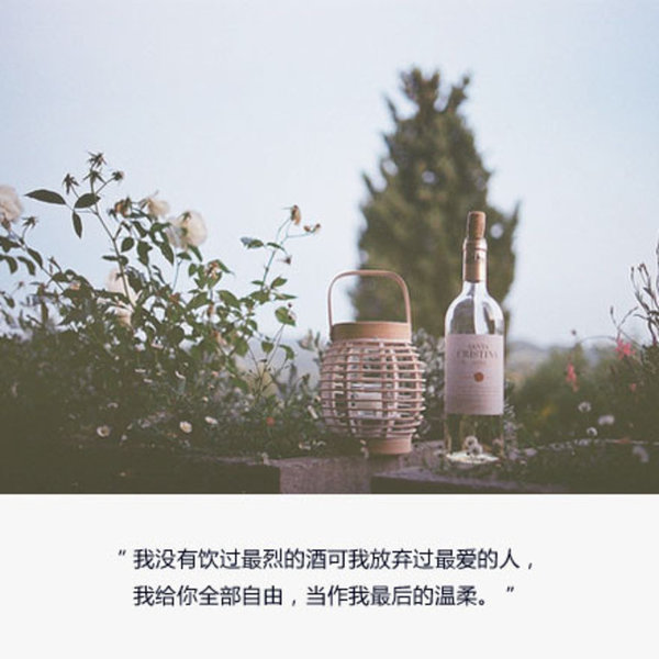 唯美图片，文字图片,情侣图片qqqqp
