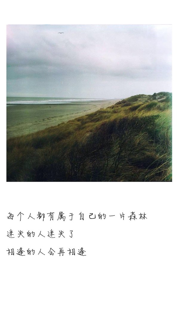 唯美图片，文字图片,情侣图片qqqqp