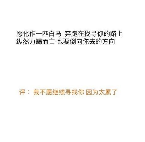 我不愿再继续寻找，因为太累了