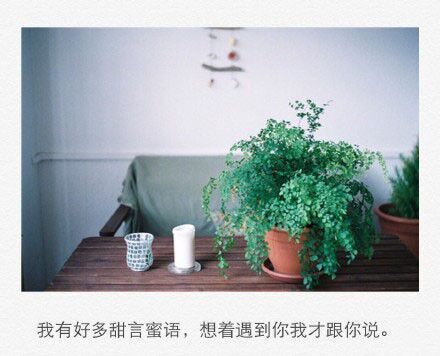 如果没有永远，就不要给我开始