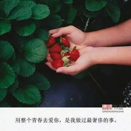 趁着阳光正好，趁着你还在我身边。