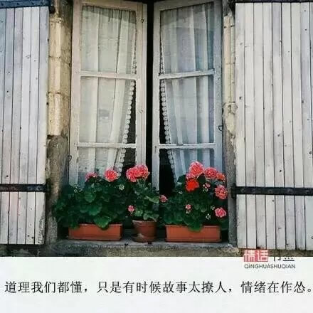 唯美图片，文字图片,情侣图片qqqqp