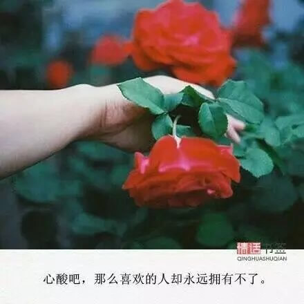唯美图片，文字图片,情侣图片qqqqp