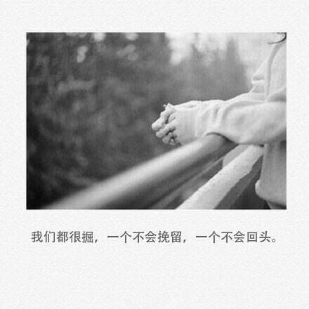 唯美图片，文字图片,情侣图片qqqqp