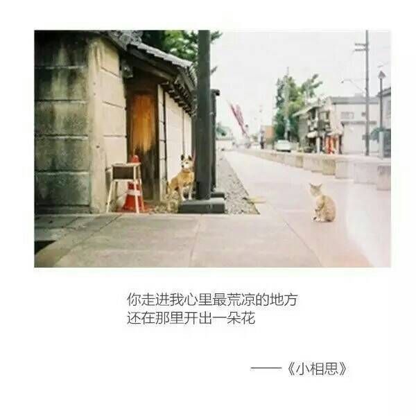 唯美图片，文字图片,情侣图片qqqqp