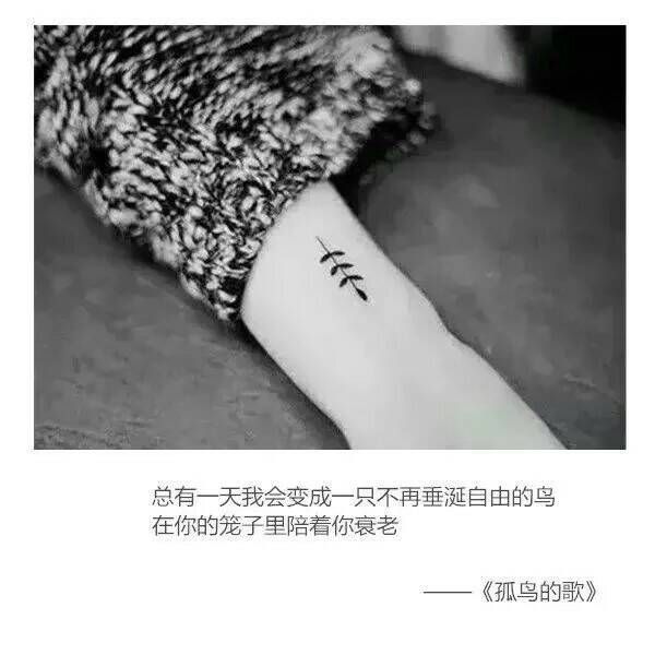 唯美图片，文字图片,情侣图片qqqqp
