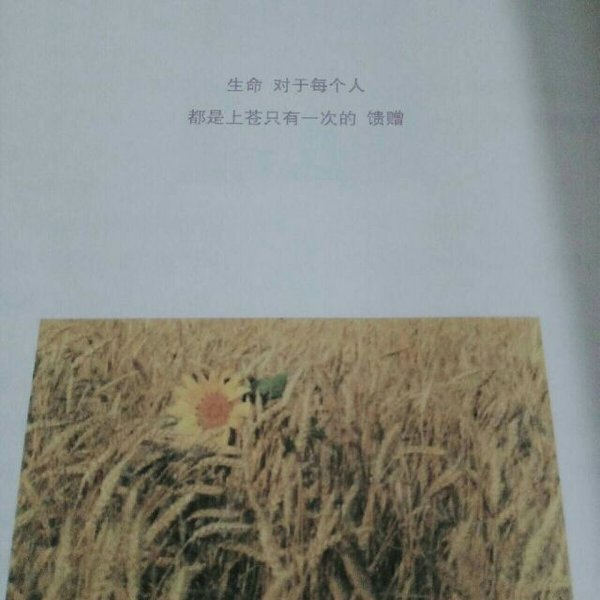唯美图片，文字图片,情侣图片qqqqp
