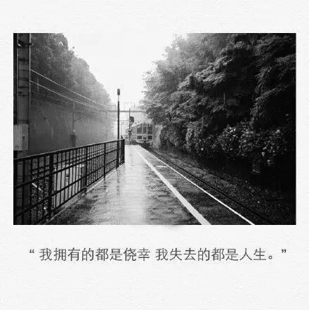 一句我还爱你，暖了多少人的心 。