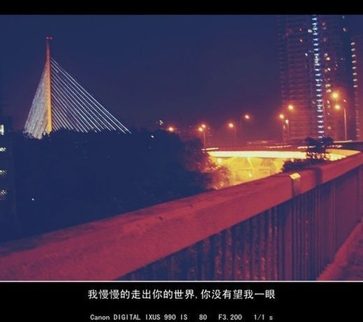 唯美图片，文字图片,情侣图片qqqqp