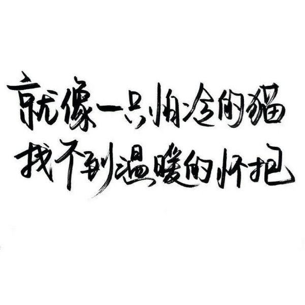 唯美图片，文字图片,情侣图片qqqqp