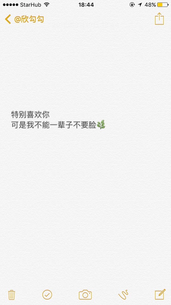 特别喜欢你，可是我不能一辈子不要脸