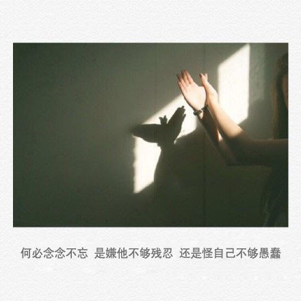 唯美图片，文字图片,情侣图片qqqqp