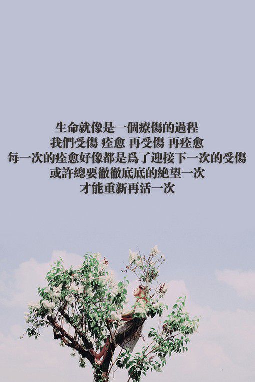 若你爱上一个人 2015情感文字图片