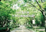 肚子在角落，做一个安静的自己