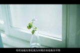 你的名字我的心事