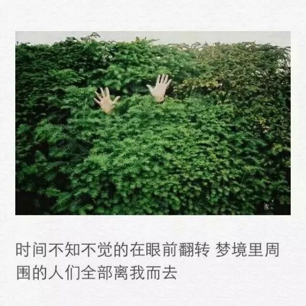 唯美图片，文字图片，动漫图片，情侣图片,qqqqp.com
