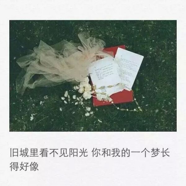 唯美图片，文字图片，动漫图片，情侣图片,qqqqp.com
