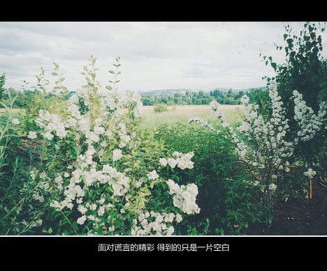 不要等我消失，你才知道我的存在