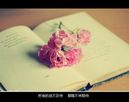 我以为你都懂 所以我没说痛
