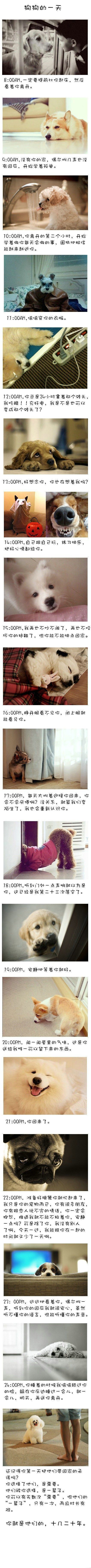 我一直在流浪可是我不曾见过海洋