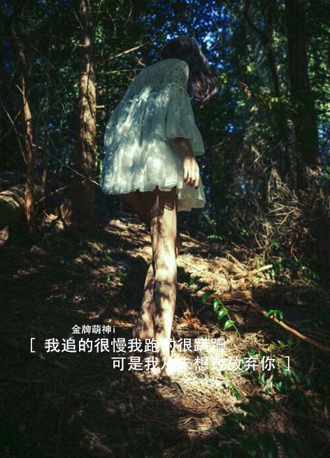 我不是有多蠢 只是你说的我都愿意去相信