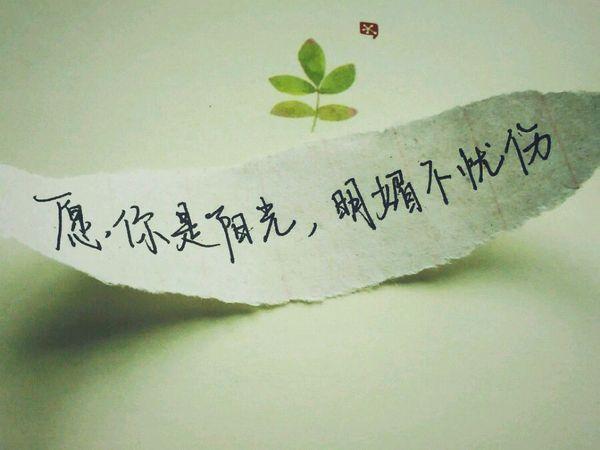 愿你们被世界温暖相待